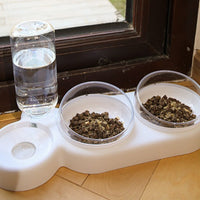 Pet Double Bowl Food Water Dispenser
