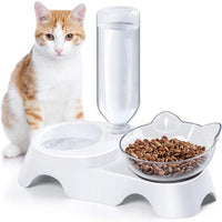 Pet Double Bowl Food Water Dispenser